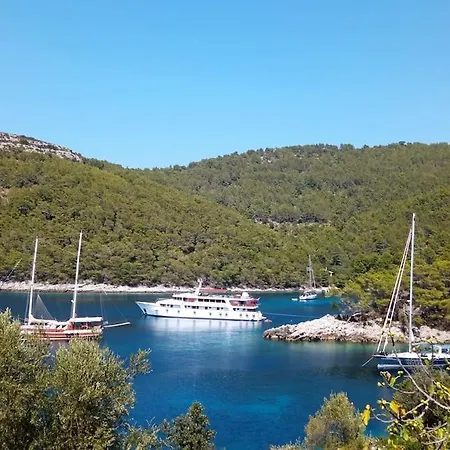 Feriehus House Ivko - Korcula *