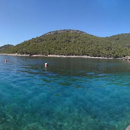 House Ivko - Korcula Vela Luka