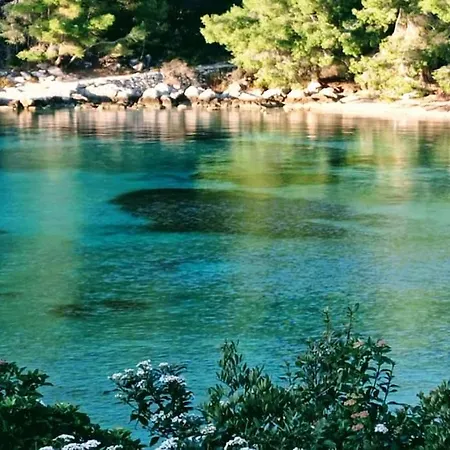 House Ivko - Korcula Feriehus *